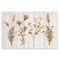 Stupell Industries Wild Flower Sprigs Wall Plaque Art Design by Alex Black